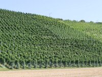 IMG 0352
