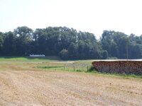 IMG 0358