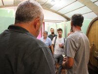 IMG 0541