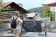 IMG_2764