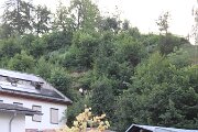 IMG_2786