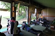 IMG_2947