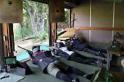IMG_2949