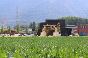 IMG_3019