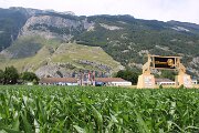 IMG_3150