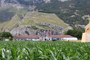 IMG_3152